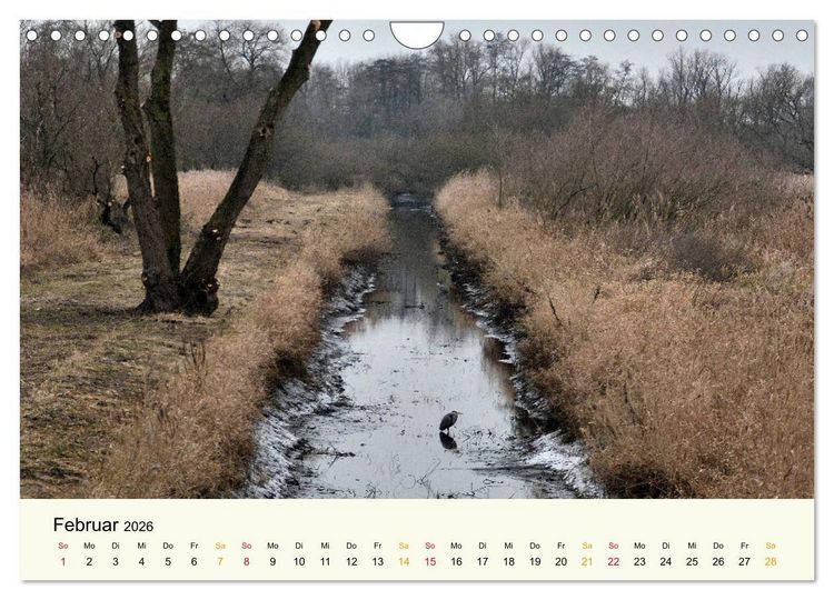Produktbild: Bremen-Blockland (Wandkalender 2026 DIN A4 quer), CALVENDO Monatskalender