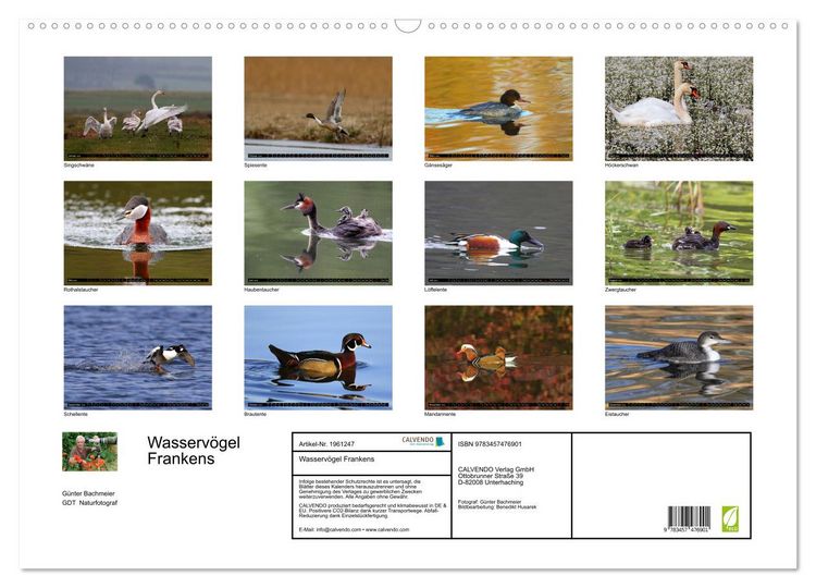 Produktbild: Wasserv&ouml;gel Frankens (Wandkalender 2026 DIN A2 quer), CALVENDO Monatskalender