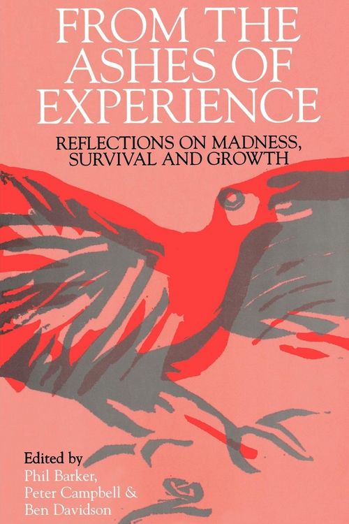 Produktbild: From the Ashes of Experience