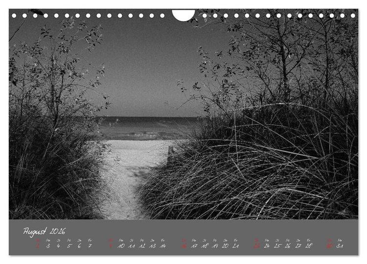 Produktbild: Wege zum Meer (Wandkalender 2026 DIN A4 quer), CALVENDO Monatskalender