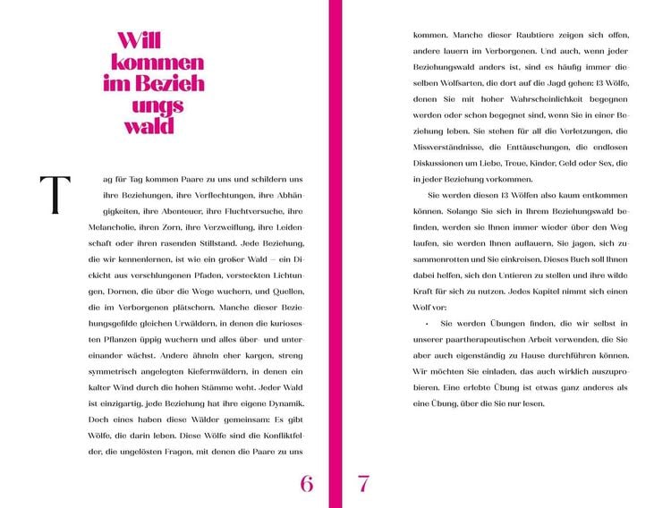Produktbild: Die 13 Beziehungsw&ouml;lfe