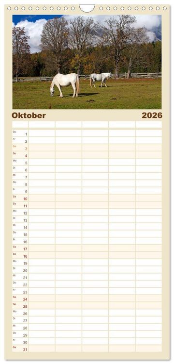 Produktbild: Familienplaner 2026 - Pferde und Ponys im Paradies mit 5 Spalten (Wandkalender, 21 x 45 cm) CALVENDO