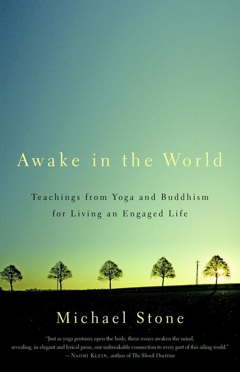 Produktbild: Awake in the World
