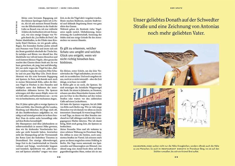 Produktbild: Vogel entdeckt - Herz verloren