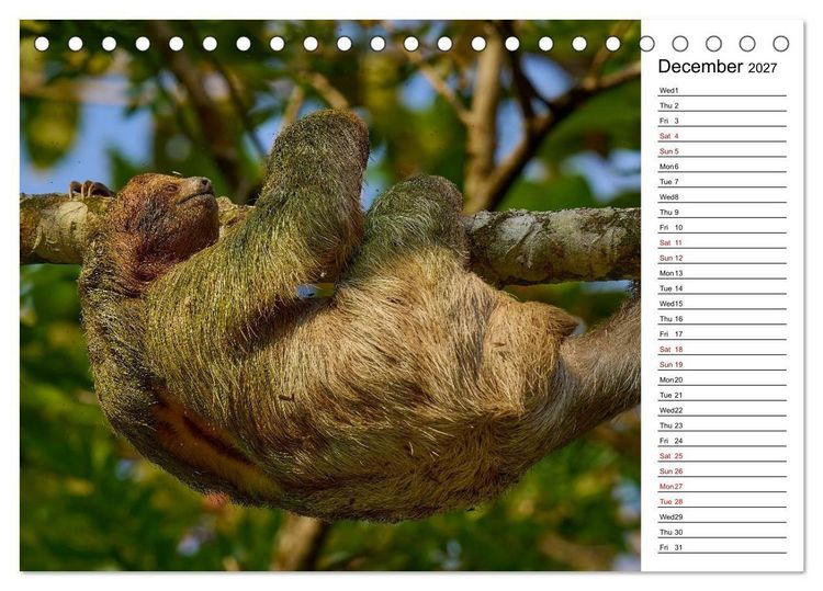 Produktbild: Feel the Wild &ndash; Costa Rica (Desk Calendar 2027 DIN A5 landscape), CALVENDO 12 Month DeskCalendar