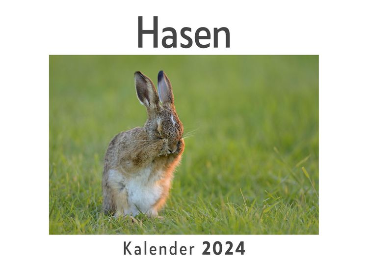 Produktbild: Hasen (Wandkalender 2024, Kalender DIN A4 quer, Monatskalender im Querformat mit Kalendarium, Das perfekte Geschenk)