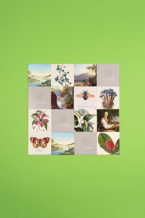 Produktbild: Alexander von Humboldt. Memo