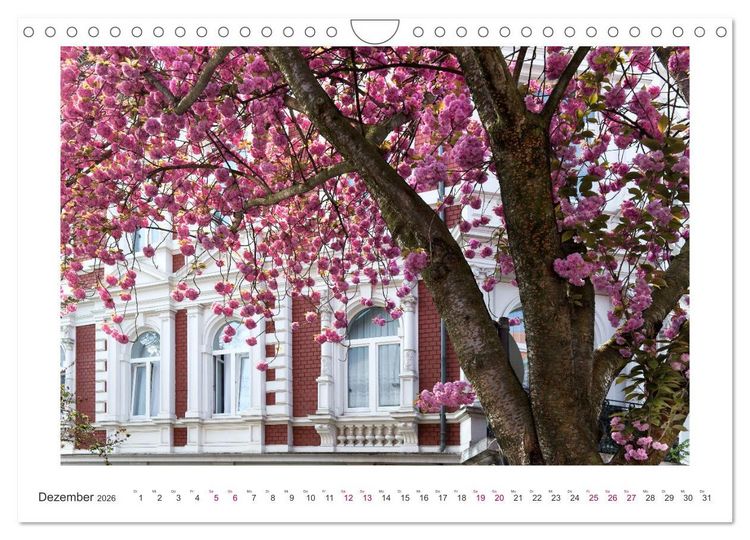 Produktbild: Japanische Kirschbl&uuml;te in Bonn (Wandkalender 2026 DIN A4 quer), CALVENDO Monatskalender