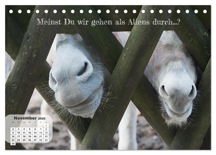 Produktbild: Tierisch und Heiter - Das Leben geht weiter 2026 (Tischkalender 2026 DIN A5 quer), CALVENDO Monatskalender