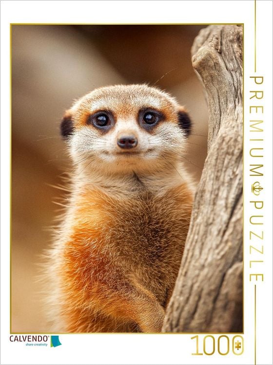 Produktbild: CALVENDO Puzzle S&uuml;&szlig;es Erdm&auml;nnchen mit gro&szlig;en Augen im Portrait | 1000 Teile Lege-Gr&ouml;&szlig;e 64x48cm Foto-Puzzle f&uuml;r gl&uuml;ckliche Stunden