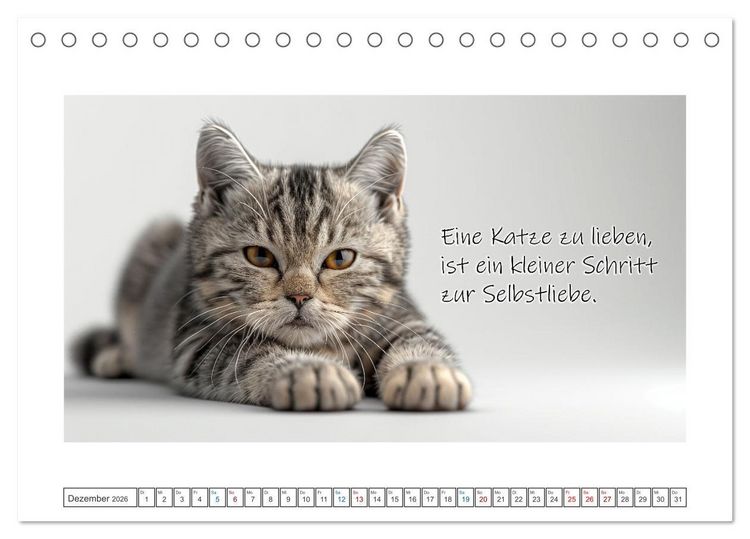 Produktbild: Katzenpower (Tischkalender 2026 DIN A5 quer), CALVENDO Monatskalender