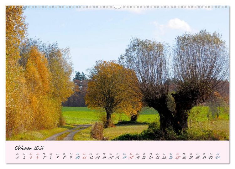 Produktbild: Wald und Baum 2026 (hochwertiger Premium Wandkalender 2026 DIN A2 quer), Kunstdruck in Hochglanz