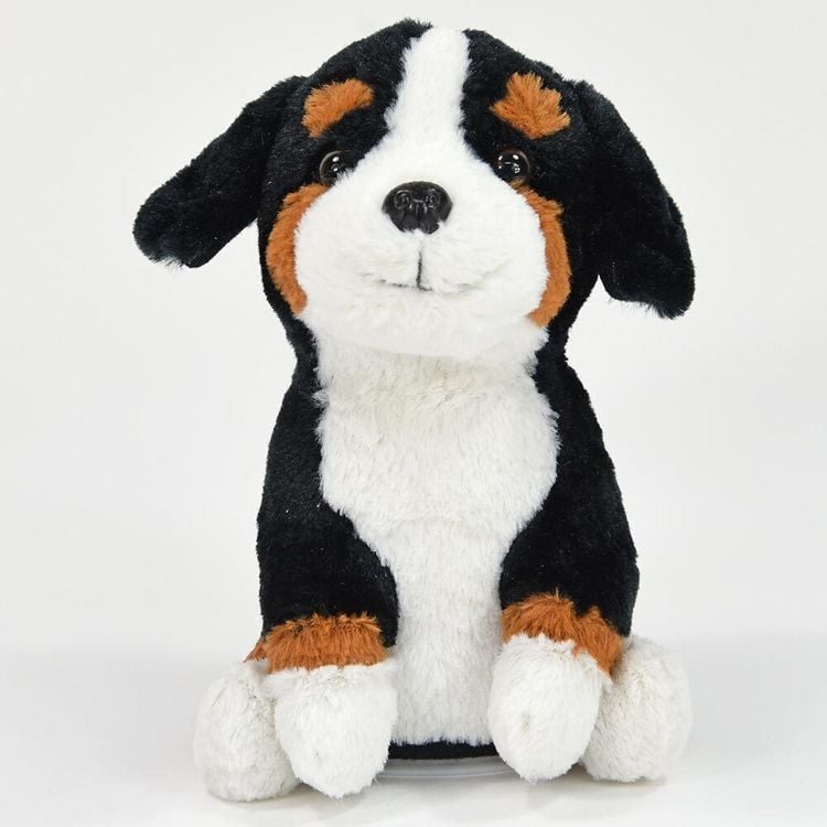 Produktbild: Laber Berner Sennenhund