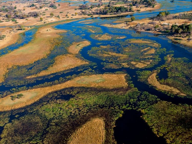 Produktbild: CALVENDO Puzzle Im Okavango-Delta bei Bukwi Island | 1000 Teile Lege-Gr&ouml;&szlig;e 64x48cm Foto-Puzzle f&uuml;r gl&uuml;ckliche Stunden