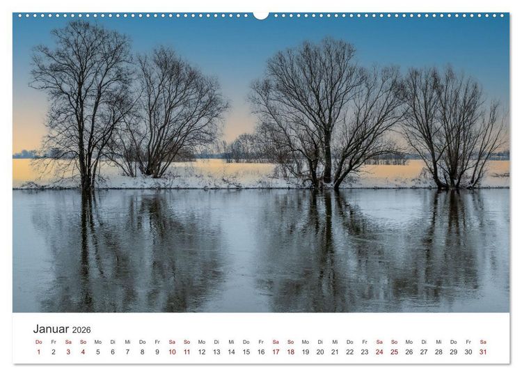 Produktbild: B&auml;ume - Gelebtes Leben (hochwertiger Premium Wandkalender 2026 DIN A2 quer), Kunstdruck in Hochglanz