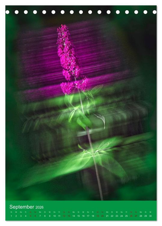 Produktbild: Floraler Tanz (Tischkalender 2026 DIN A5 hoch), CALVENDO Monatskalender