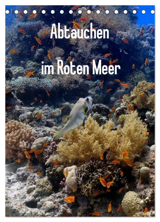 Produktbild: Abtauchen im Roten Meer (Tischkalender 2026 DIN A5 hoch), CALVENDO Monatskalender