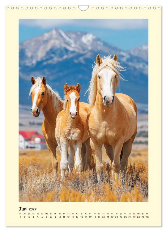 Produktbild: Westernpferde. Quarter Horse und Paint Horse auf dem Farmland (Wandkalender 2027 DIN A3 hoch), CALVENDO Monatskalender