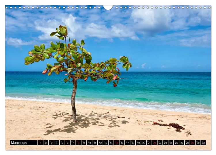 Produktbild: The Caribbean - St. Lucia, The Grenadines and Grenada (Wall Calendar 2026 DIN A3 landscape), CALVENDO 12 Month Wall Calendar