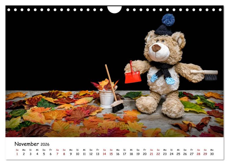 Produktbild: Eddy, der Teddy (Wandkalender 2026 DIN A4 quer), CALVENDO Monatskalender