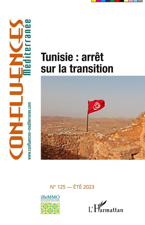 Produktbild: Tunisie : arr&ecirc;t sur la transition