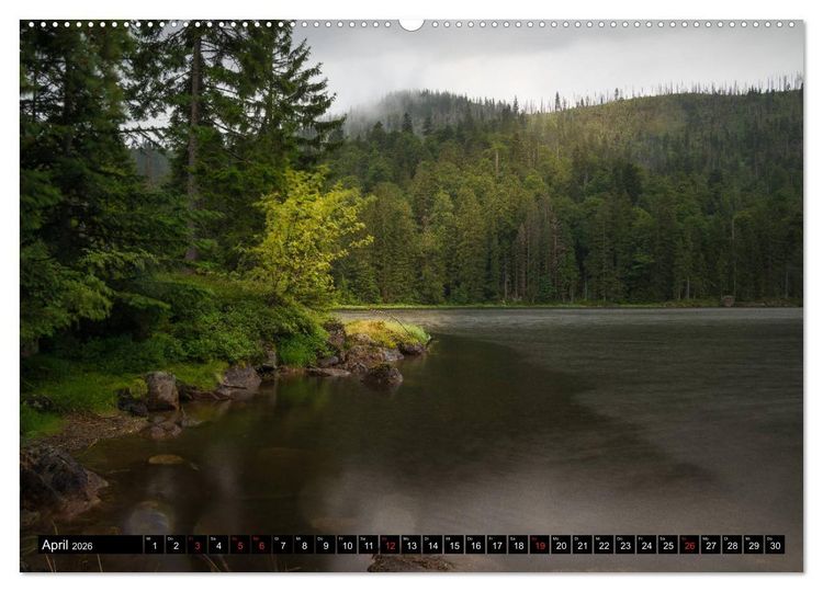 Produktbild: Zauberwelt Wald (Wandkalender 2026 DIN A2 quer), CALVENDO Monatskalender