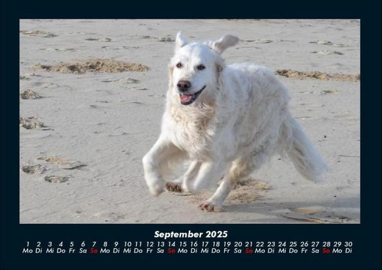 Produktbild: Str&auml;nde der Welt 2025 Fotokalender DIN A4