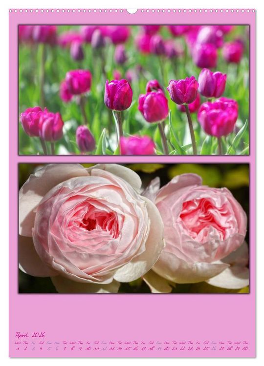 Produktbild: Colours of Nature / UK-Version (High Quality Premium Wall Calendar 2026 DIN A2 portrait),CALVENDO 12 Month Wall Calendar