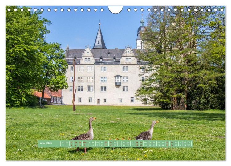 Produktbild: Wolfsburg - einfach tierisch (Wandkalender 2026 DIN A4 quer), CALVENDO Monatskalender