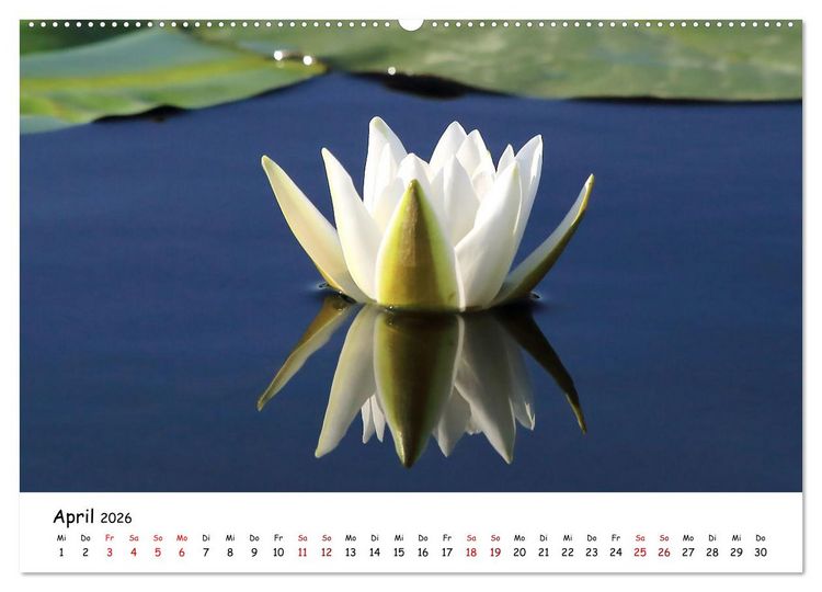Produktbild: Eine Reise ins magische Donaudelta (Wandkalender 2026 DIN A2 quer), CALVENDO Monatskalender