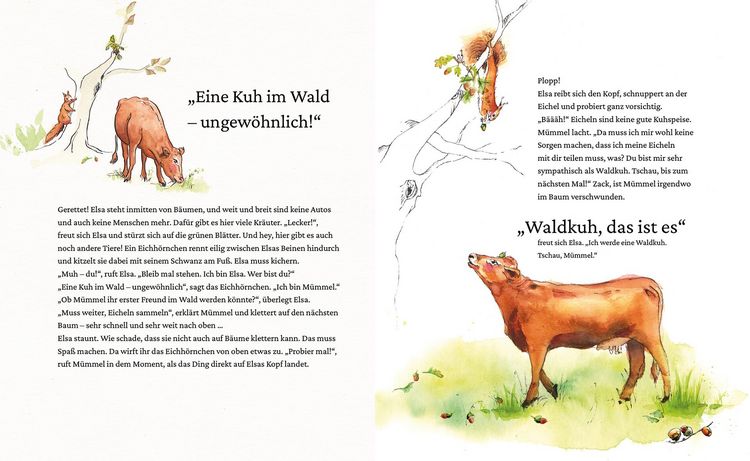 Produktbild: Elsa b&uuml;xt aus