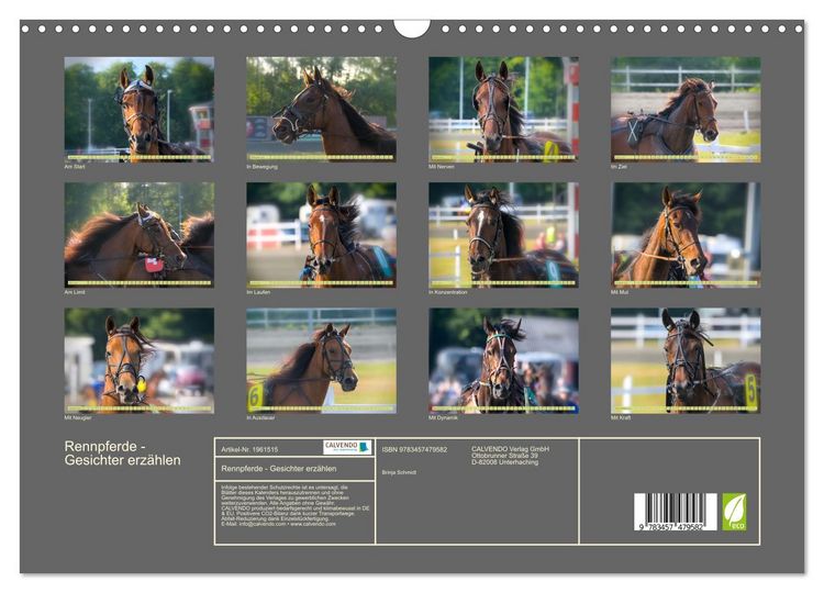 Produktbild: Rennpferde - Gesichter erz&auml;hlen (Wandkalender 2026 DIN A3 quer), CALVENDO Monatskalender