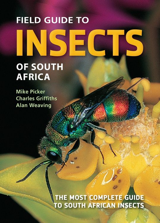 Produktbild: Field Guide to Insects of South Africa