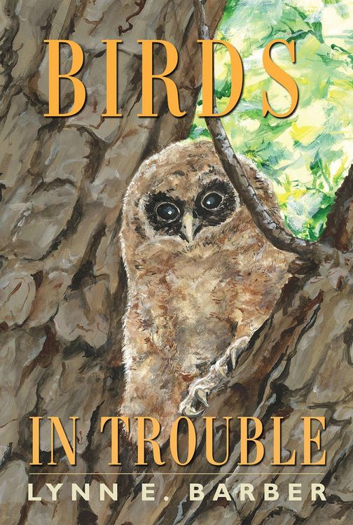 Produktbild: Birds in Trouble