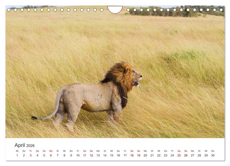 Produktbild: Kenia - Das wundervolle Land in Afrika. (Wandkalender 2026 DIN A4 quer), CALVENDO Monatskalender