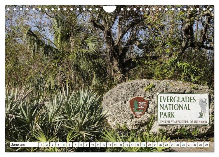 Produktbild: Sunshine State Florida Nature, Wildlife, National Parks (Wall Calendar 2027 DIN A4 landscape), CALVENDO 12 Month Wall Calendar