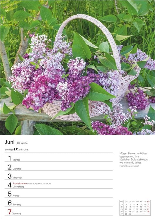 Produktbild: Blumenpracht Wochenplaner 2026 - 53 stimmungsvolle Fotografien