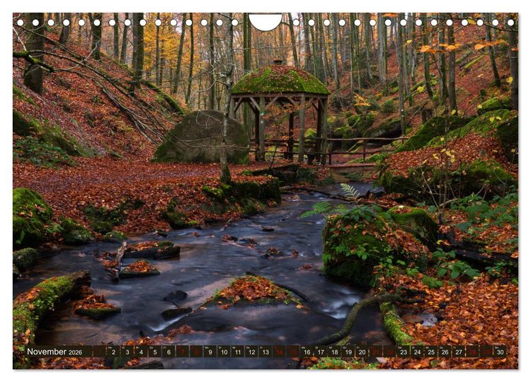 Produktbild: Augenschmaus Pf&auml;lzer Wald (Wandkalender 2026 DIN A4 quer), CALVENDO Monatskalender