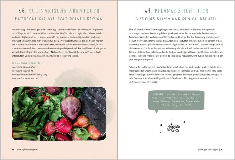 Produktbild: Meine nachhaltige K&uuml;che &ndash; on a budget