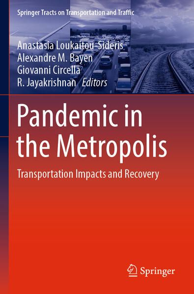 Produktbild: Pandemic in the Metropolis