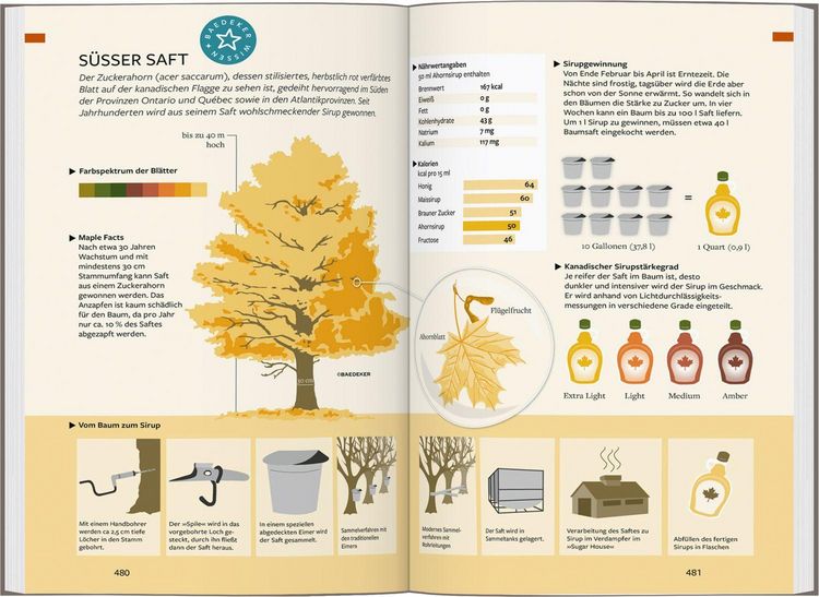 Produktbild: Baedeker Reisef&uuml;hrer Kanada Osten