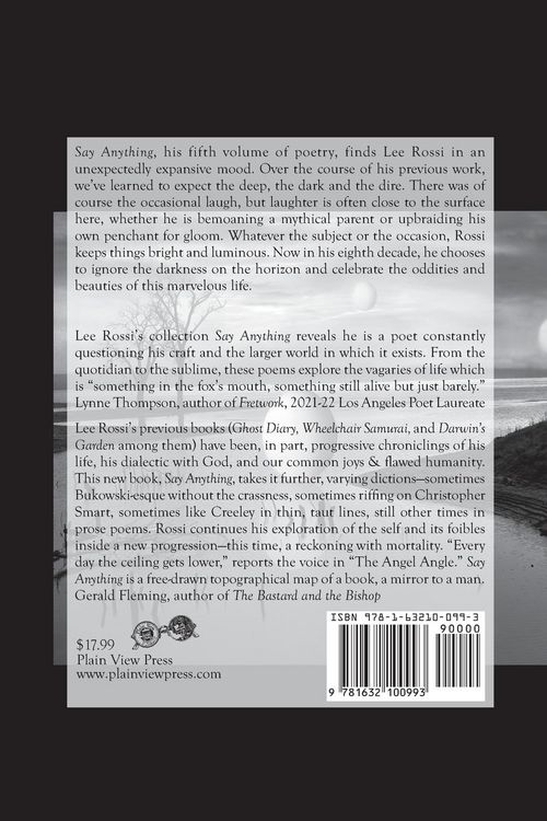 Produktbild: Say Anything