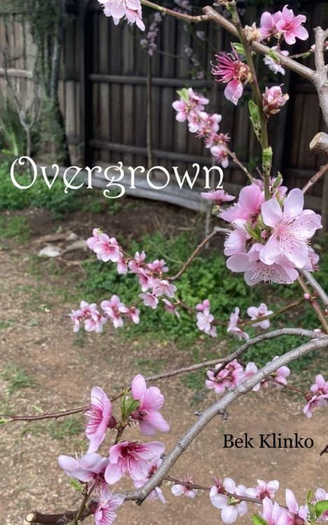 Produktbild: Overgrown