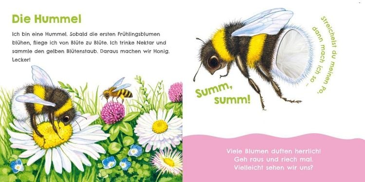 Produktbild: H&ouml;r mal, wie ich knabbern kann (Mein erstes Streichel-Soundbuch 5)