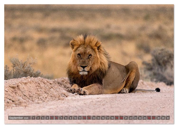 Produktbild: Namibia und Botswana - Entdeckungen in der Weite Afrikas (Tischkalender 2026 DIN A5 quer), CALVENDO Monatskalender