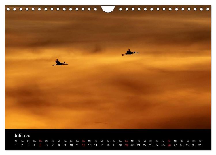 Produktbild: Kraniche (Wandkalender 2026 DIN A4 quer), CALVENDO Monatskalender