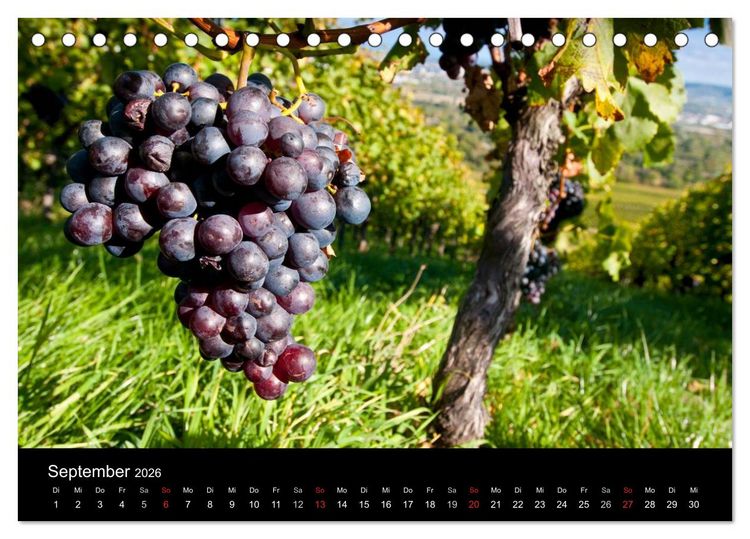 Produktbild: Weinberge im Remstal (Tischkalender 2026 DIN A5 quer), CALVENDO Monatskalender