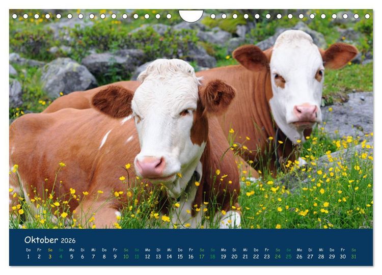 Produktbild: Bergwelt Hohe Tauern - Wandergenuss in alpiner Landschaft (Wandkalender 2026 DIN A4 quer), CALVENDO Monatskalender