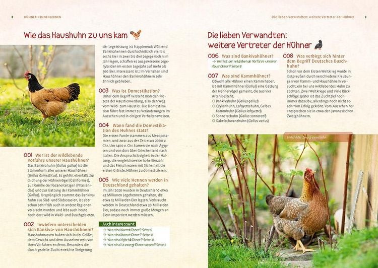 Produktbild: H&uuml;hner - 500 Fragen, 500 Antworten