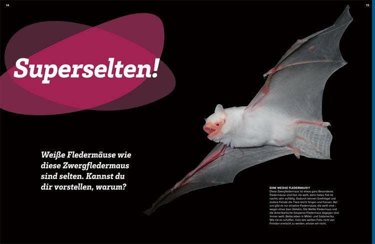 Produktbild: WAS IST WAS Flederm&auml;use. Flink durch die Nacht